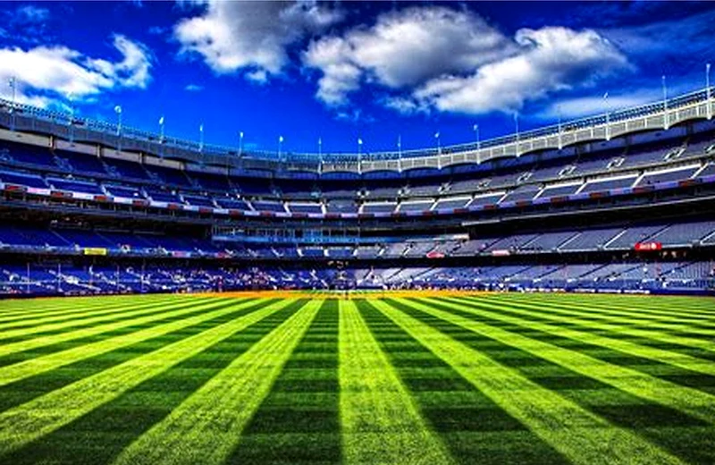 Football standings table and stadium